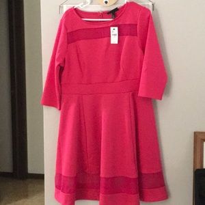 Lane Bryant pink dress 14/16 new with tag